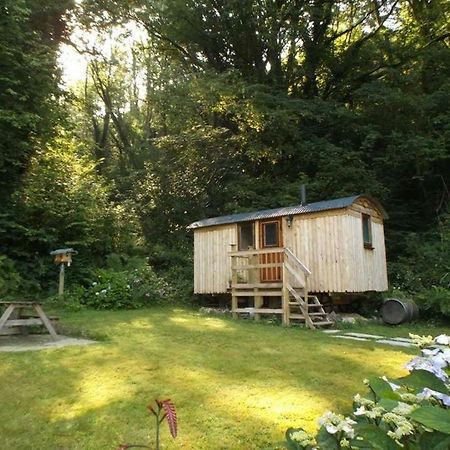 'Morris' The Shepherd'S Hut And Woodland Hot Tub Experience Carmarthen Exterior foto