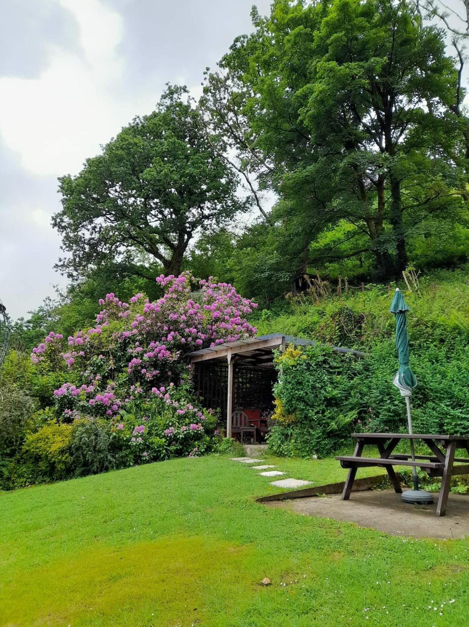 'Morris' The Shepherd'S Hut And Woodland Hot Tub Experience Carmarthen Exterior foto