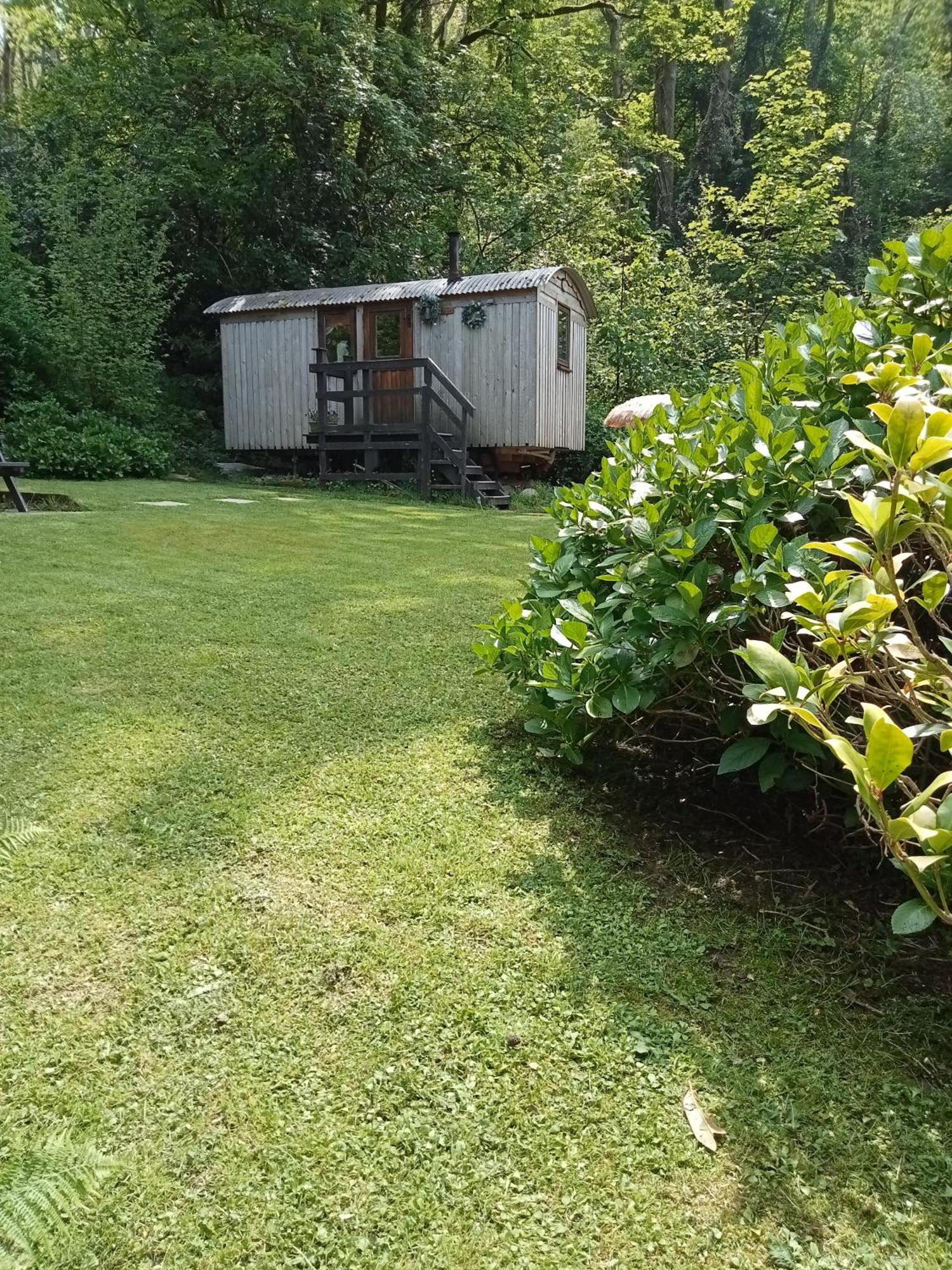 'Morris' The Shepherd'S Hut And Woodland Hot Tub Experience Carmarthen Exterior foto