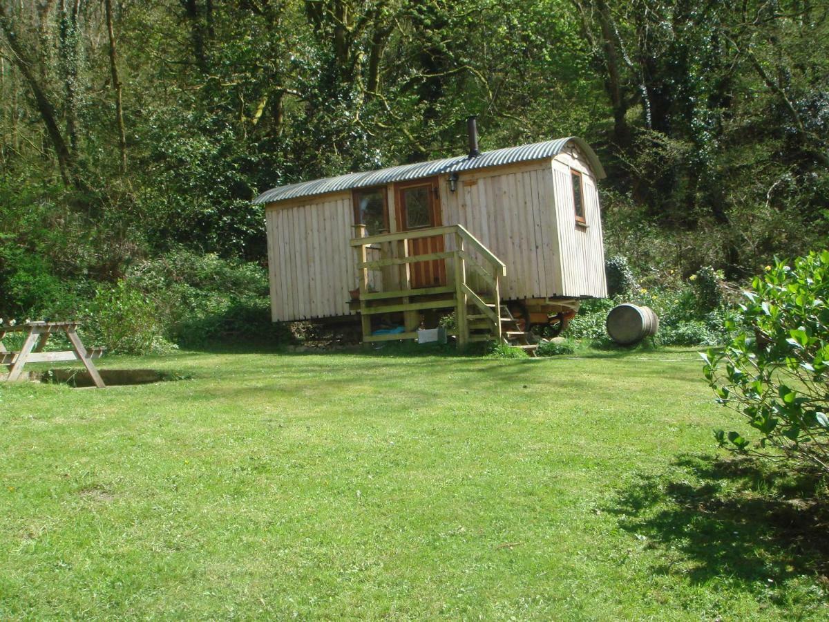 'Morris' The Shepherd'S Hut With Woodland Hot Tub Carmarthen Exterior foto