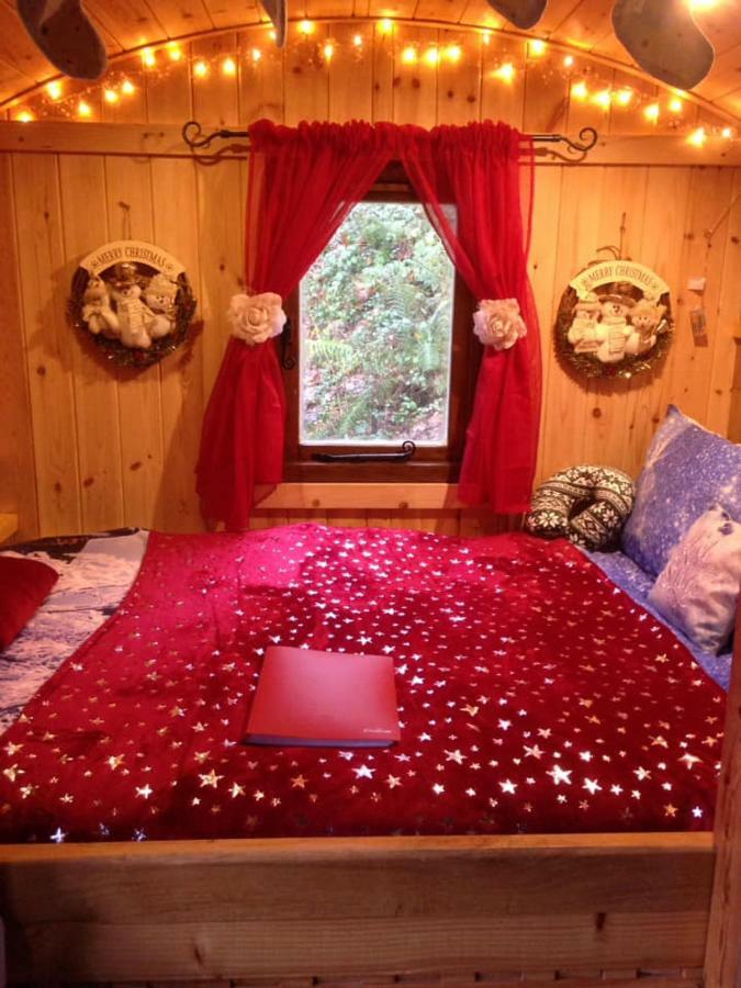 'Morris' The Shepherd'S Hut And Woodland Hot Tub Experience Carmarthen Exterior foto