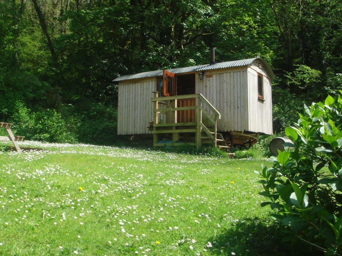'Morris' The Shepherd'S Hut With Woodland Hot Tub Carmarthen Exterior foto