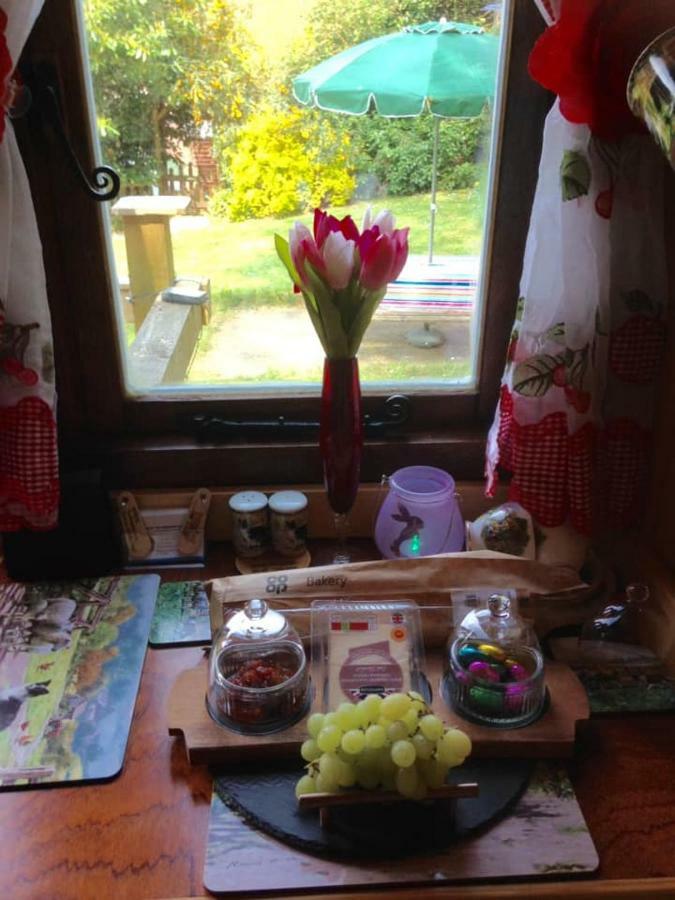 'Morris' The Shepherd'S Hut With Woodland Hot Tub Carmarthen Exterior foto