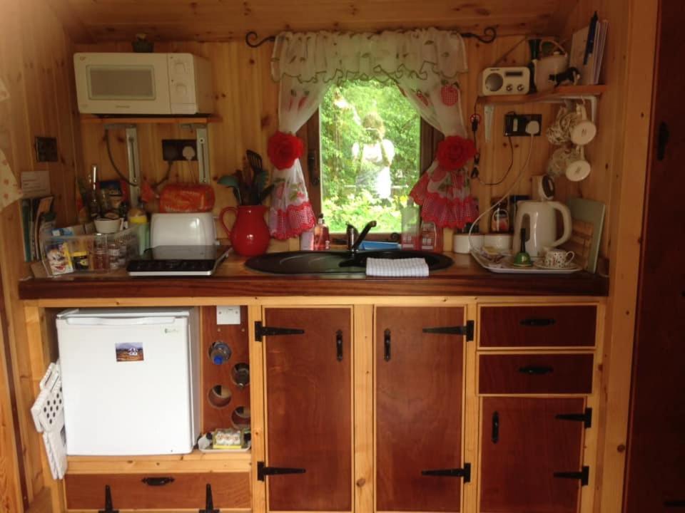 'Morris' The Shepherd'S Hut And Woodland Hot Tub Experience Carmarthen Exterior foto