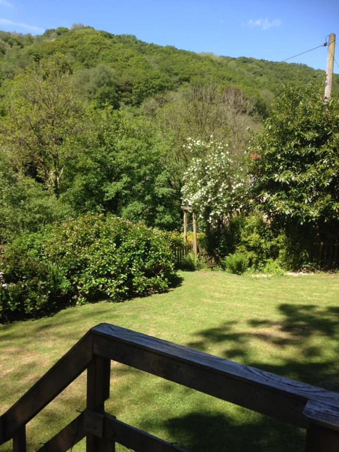 'Morris' The Shepherd'S Hut With Woodland Hot Tub Carmarthen Exterior foto