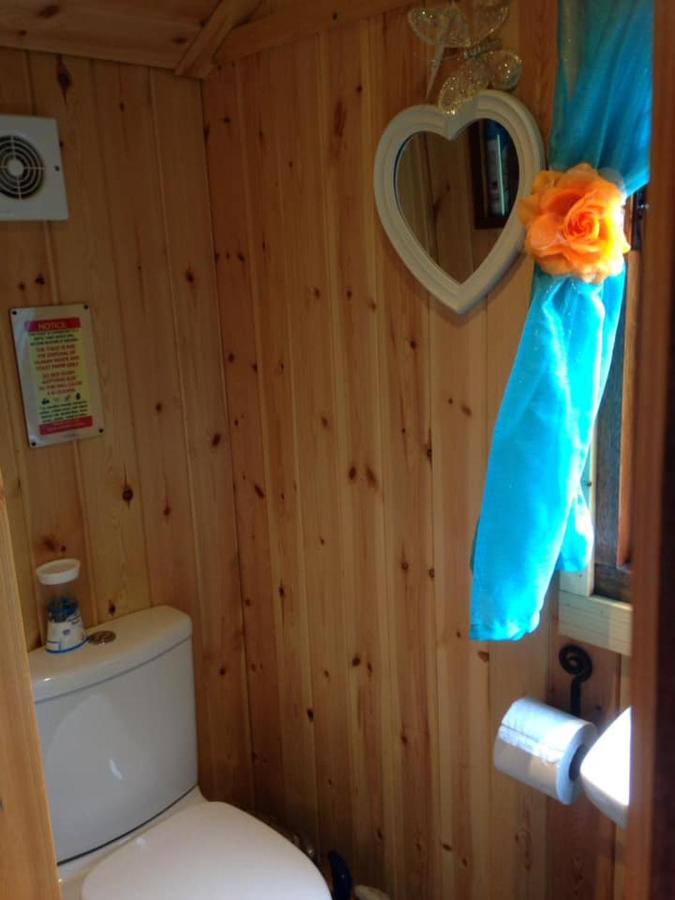 'Morris' The Shepherd'S Hut With Woodland Hot Tub Carmarthen Exterior foto