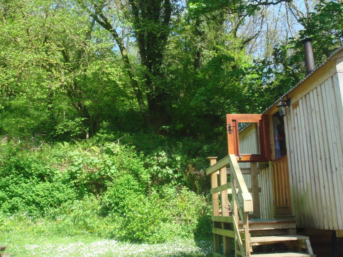 'Morris' The Shepherd'S Hut With Woodland Hot Tub Carmarthen Exterior foto